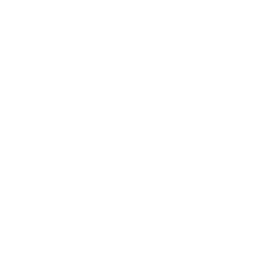 SlashRaid Logo